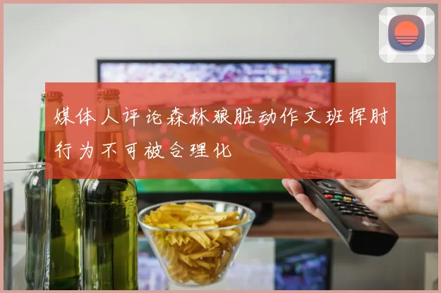 媒体人评论森林狼脏动作文班挥肘行为不可被合理化