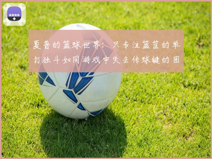 夏普的篮球世界：只专注篮筐的单打独斗如同游戏中失去传球键的困境